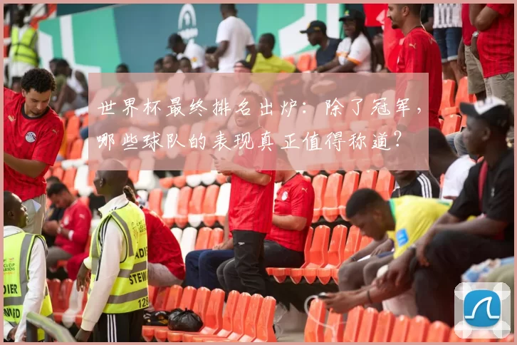 世界杯最终排名出炉:除了冠军,哪些球队的表现真正值得称道?