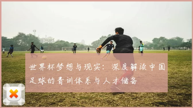 世界杯梦想与现实：深度解读中国足球的青训体系与人才储备