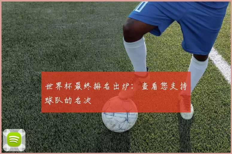 世界杯最终排名出炉：查看您支持球队的名次