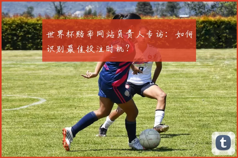世界杯赔率网站负责人专访:如何识别最佳投注时机?
