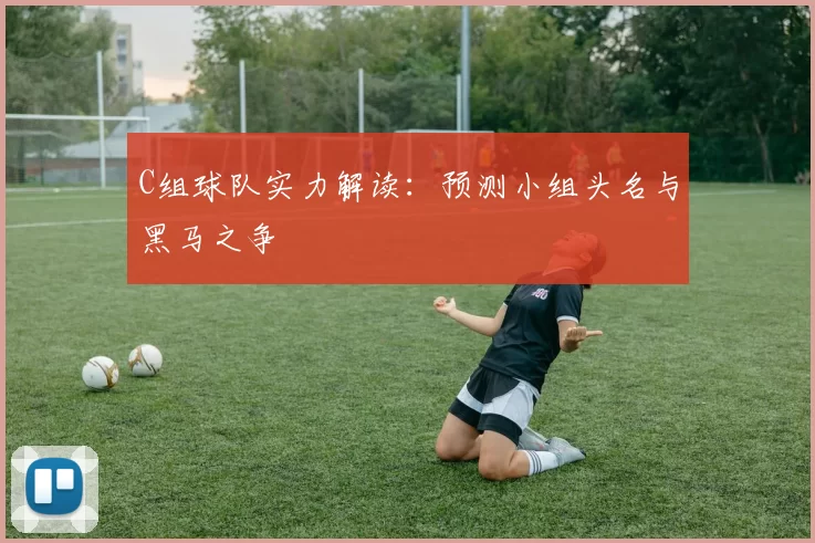 C组球队实力解读:预测小组头名与黑马之争