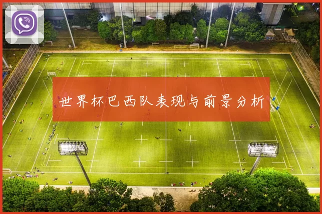 世界杯巴西队表现与前景分析