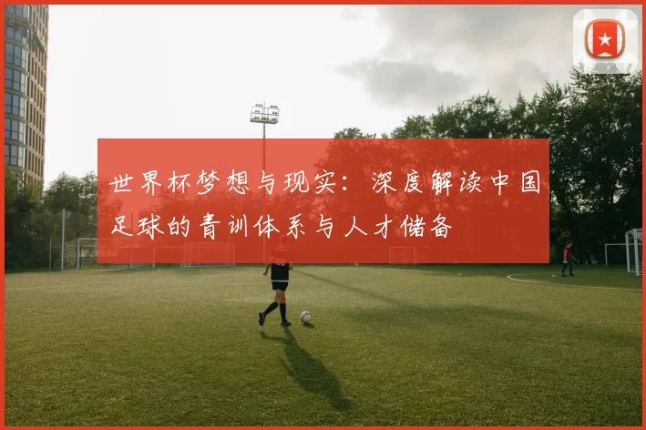 世界杯梦想与现实：深度解读中国足球的青训体系与人才储备