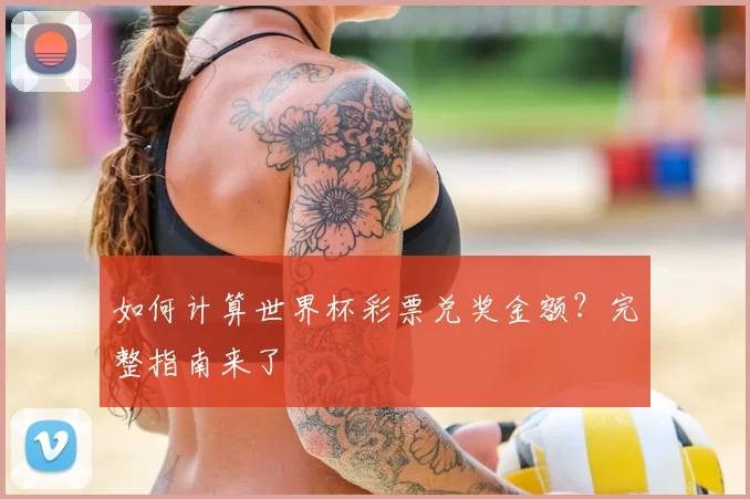 如何计算世界杯彩票兑奖金额？完整指南来了
