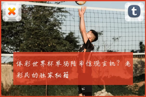 体彩世界杯单场陪率惊现玄机？老彩民的独家秘籍