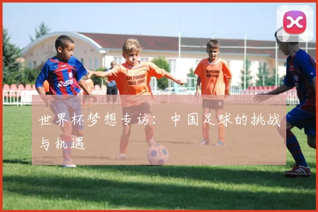 世界杯梦想专访:中国足球的挑战与机遇